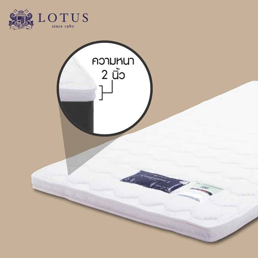 Lotus - Companion Latex Topper 6ft x 6.5ft Thickness