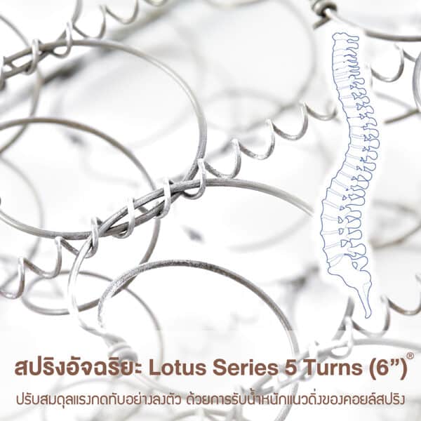 Lotus - O-Season II 6ft × 6.5ft - Foam Spring Mattress - Medium Soft - 10"